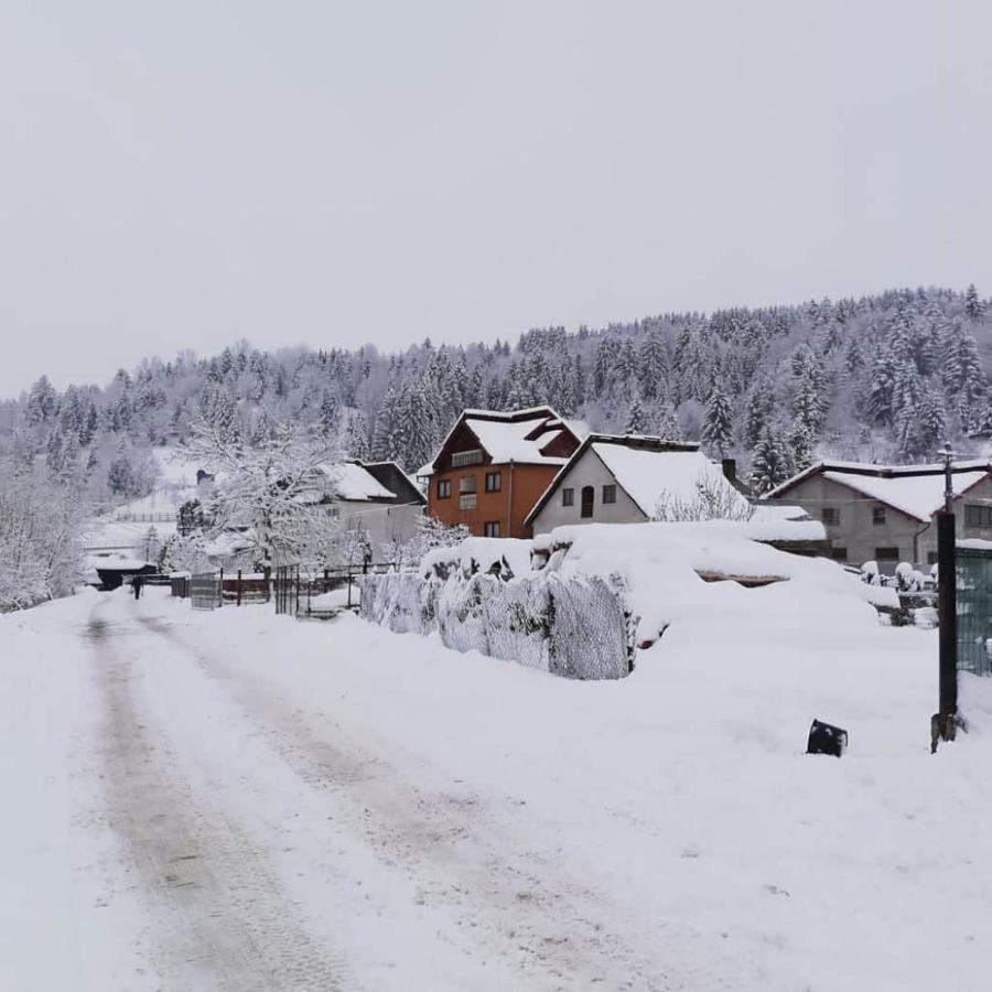 Vila Bijou Borşa Exterior foto